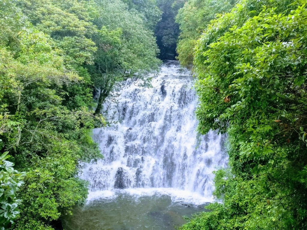 Elephant Falls