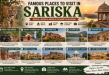 Famous Places to Visit in Sariska – Wildlife, Temples, Forts and Lakes Famous Places to Visit in Sariska - Wildlife, Temples, Forts and Lakes