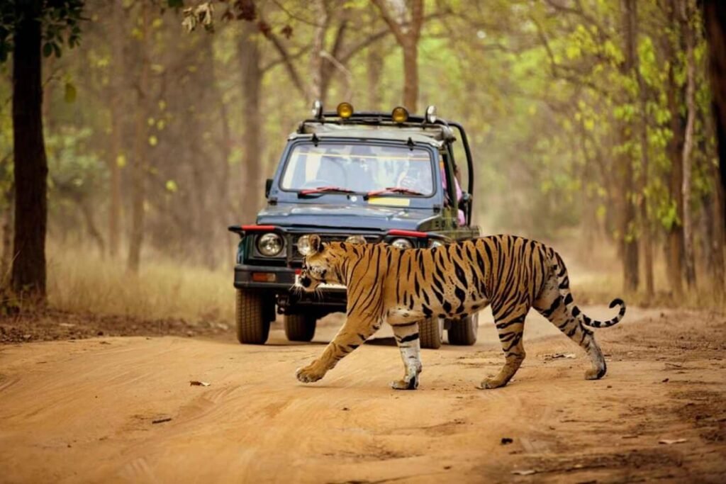 Jim Corbett National Park, Uttarakhand