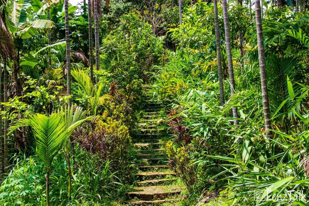 Mawlynnong Village